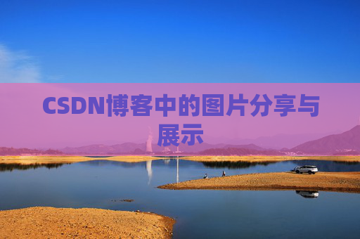 CSDN博客中的图片分享与展示
